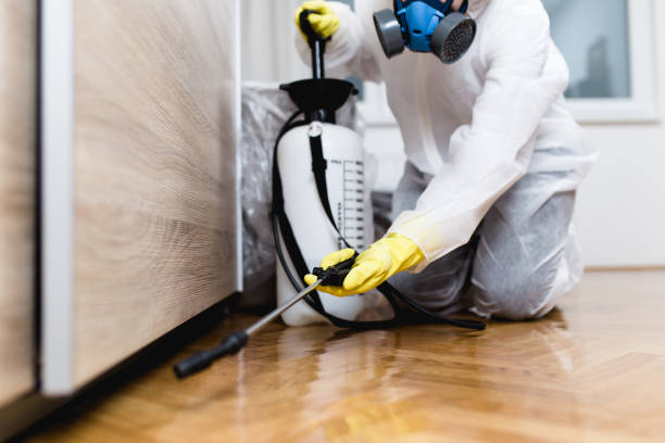 Best Exterminator Services  in Schuylerville, NY
