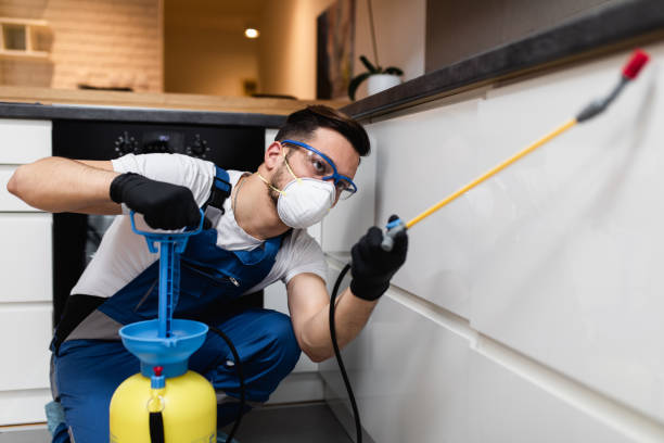 Best Pest Prevention Services  in Schuylerville, NY