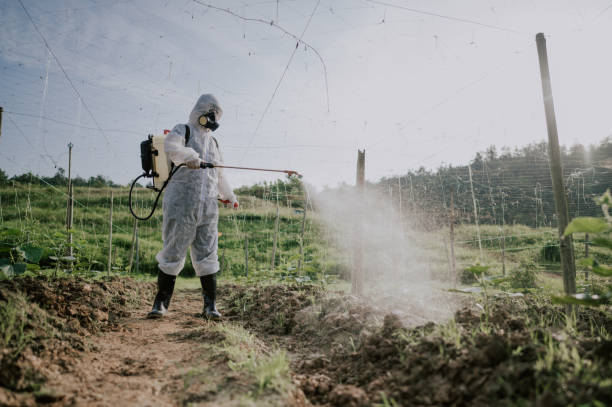 Best Mosquito Control Services  in Schuylerville, NY