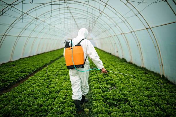 Best Local Pest Control Services  in Schuylerville, NY