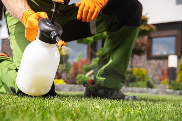 Best Local Pest Control Services  in Schuylerville, NY