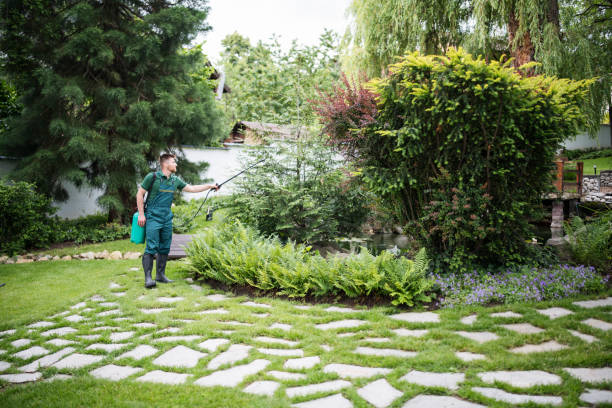 Best Pest Control Near Me in Schuylerville, NY