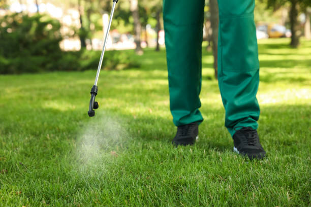 Trusted Schuylerville, NY Pest Control Experts