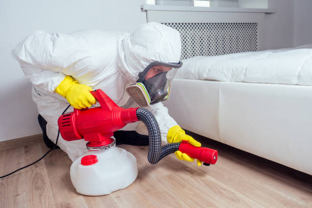 Best Wasp Removal Services  in Schuylerville, NY