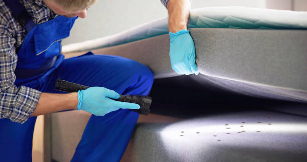 Best Pest Inspection Near Me  in Schuylerville, NY