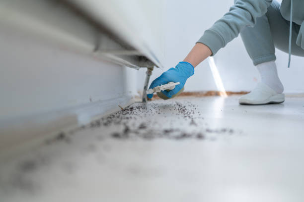 Best Termite Control Services  in Schuylerville, NY
